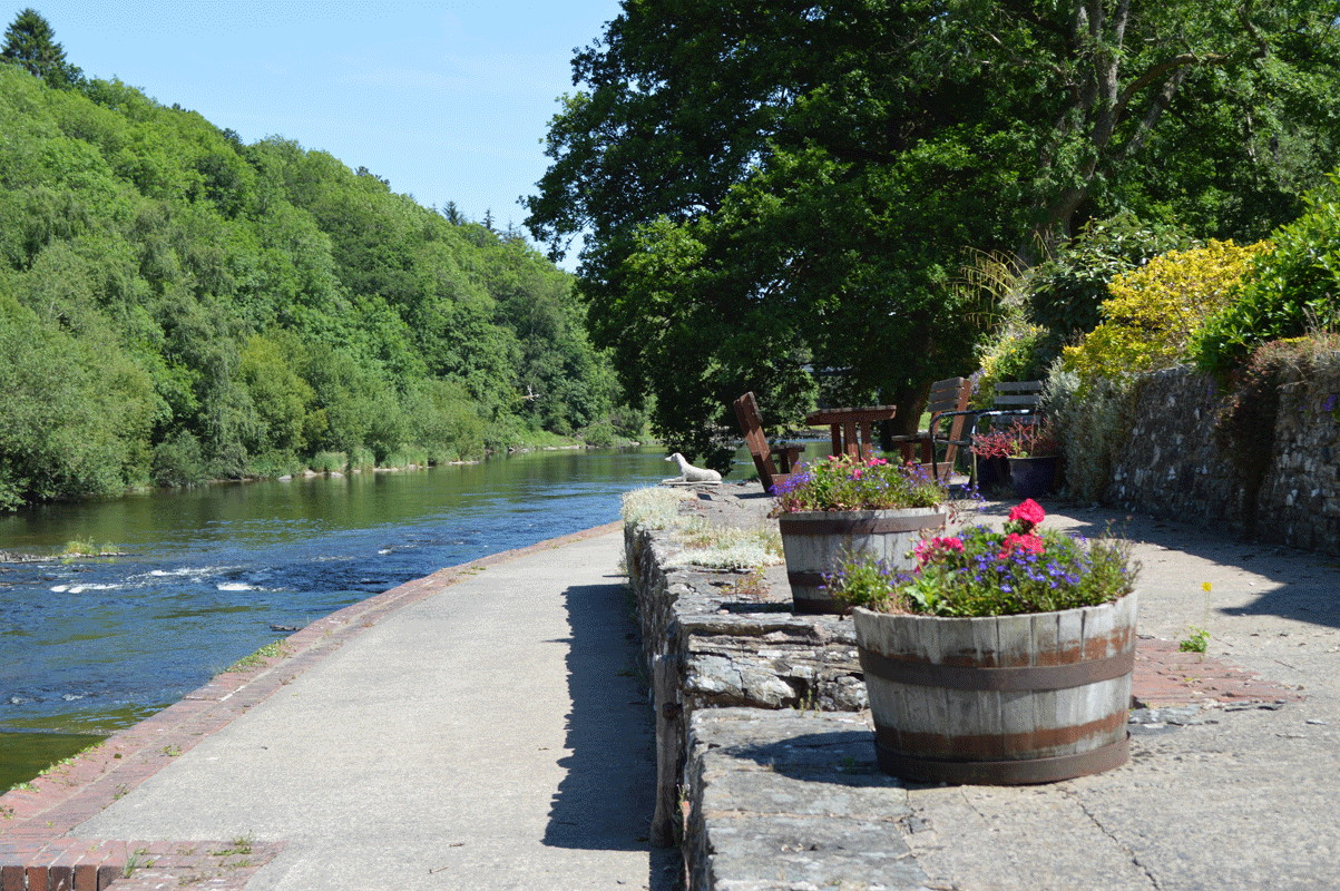 PYF Terrace looking down river